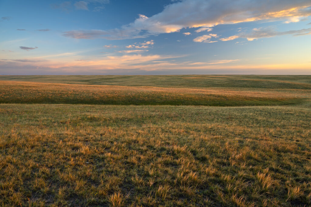 An open field piece of ranch property