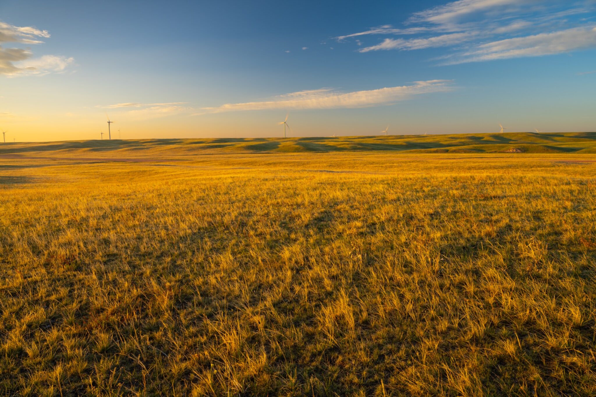 A landscape of a field