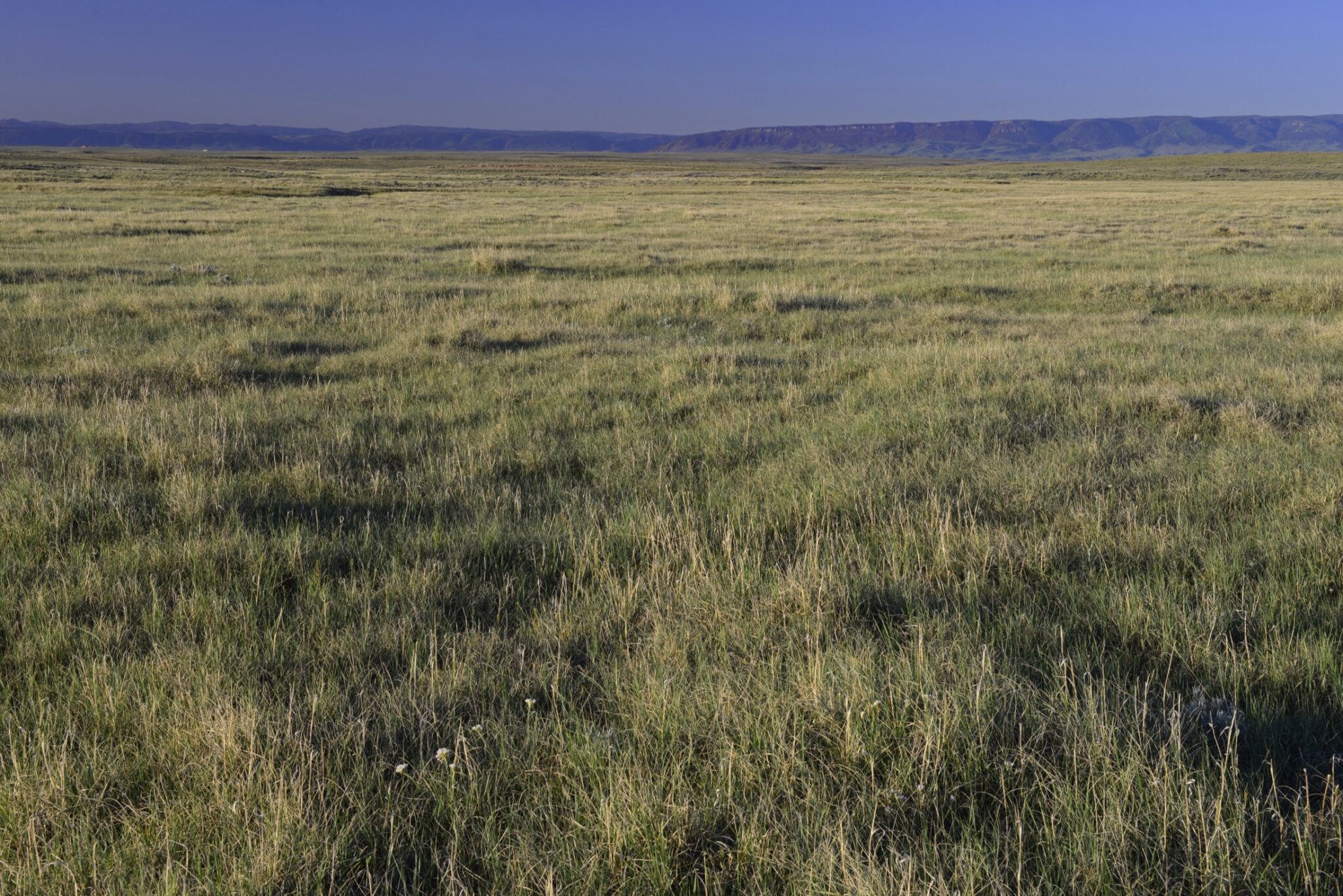 A grassy portion of Wyoming ranch land
