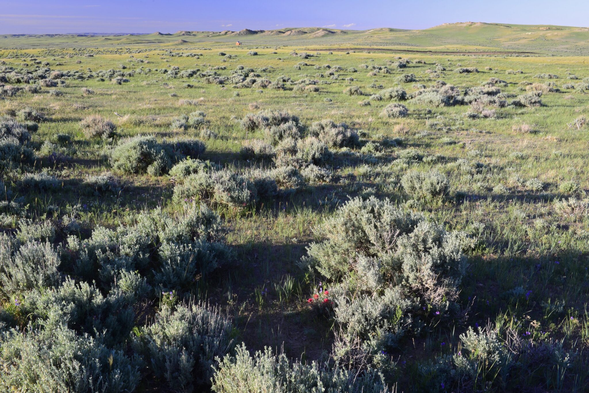 A stretch of open ranch land in Wyoming