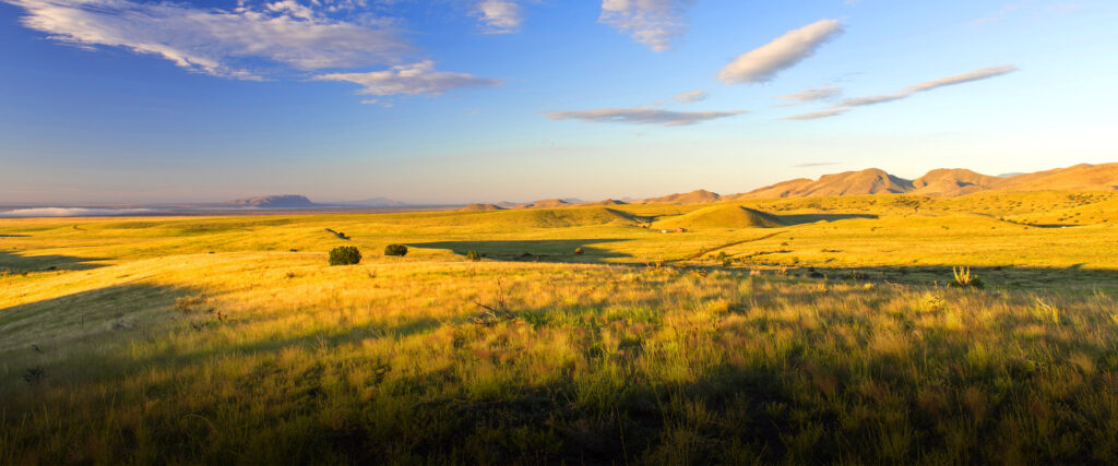 Yellow and green grass over rolling hills
