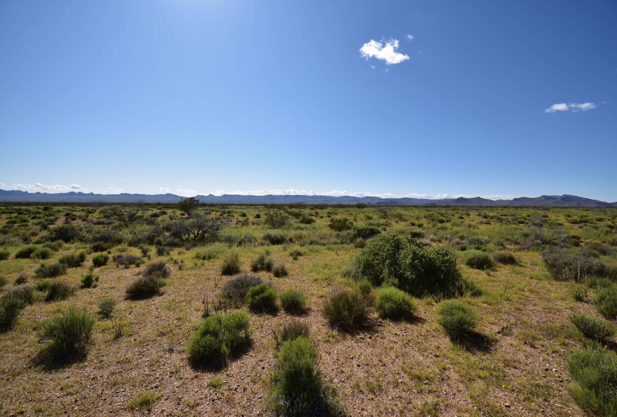 Open ranch land with mountains in the distance