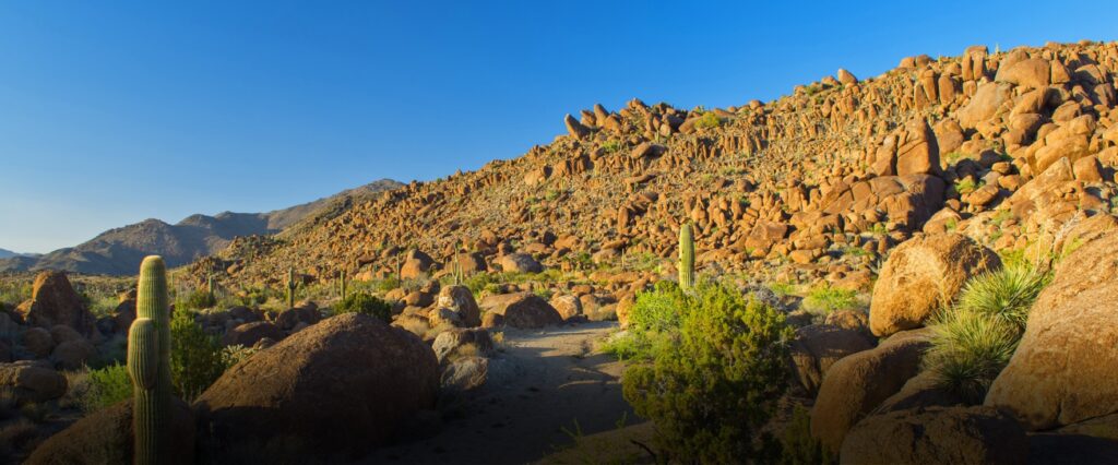 Desert sandstone formations with cacti nearby