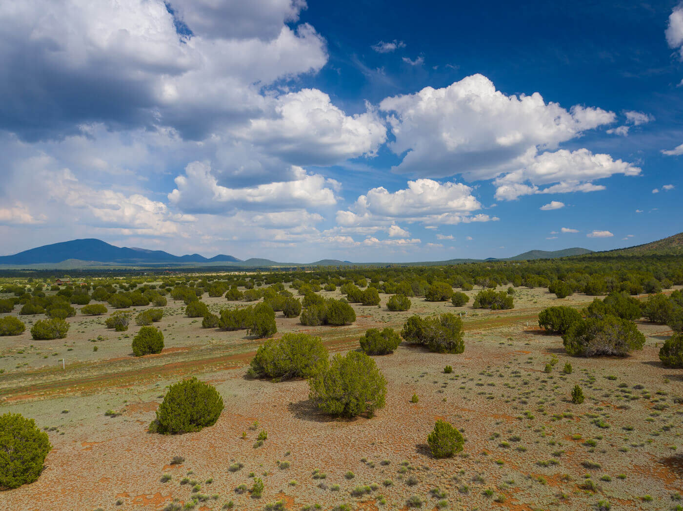 Kaibab High ranchland beneath cloudy blue sky featuring dirt land spotted with green shrubbery