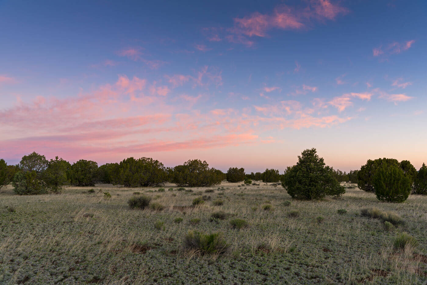 Kaibab High at sunset featuring pink and blue sky and shrubbery on ranchland