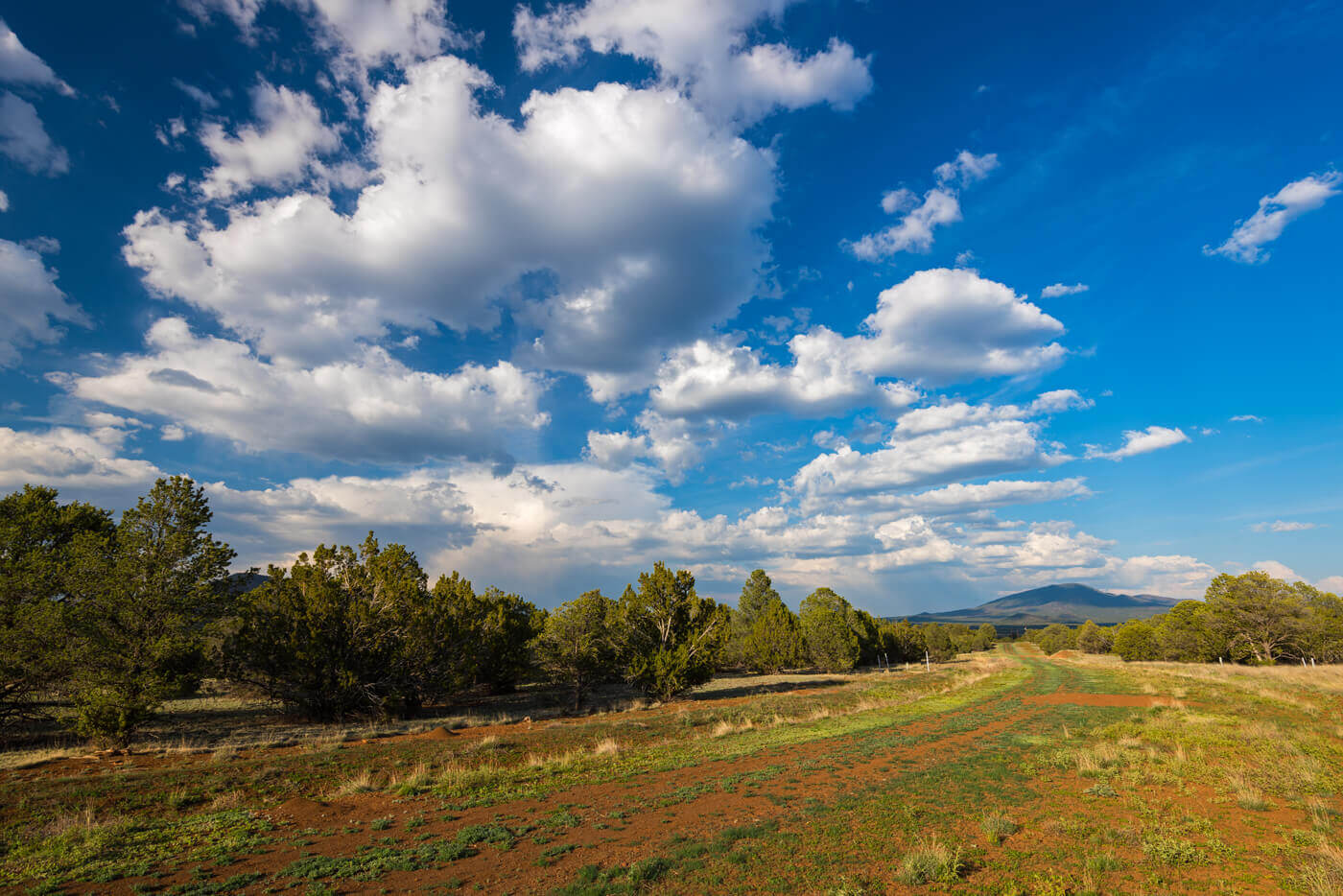 Kaibab High featuring cloudy sky and ranchland trail surrounded by trees