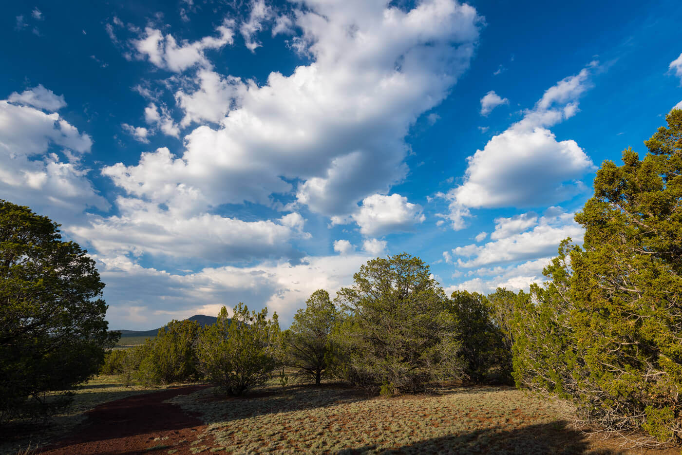 Kaibab High beneath a blue sky and white clouds with wooded ranchland featured