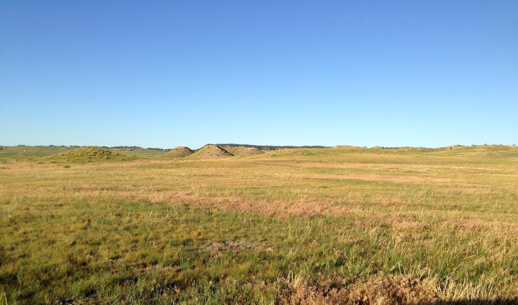 Pine Ridge Ranch featuring a wide open lot of native grasses and clear blue sky