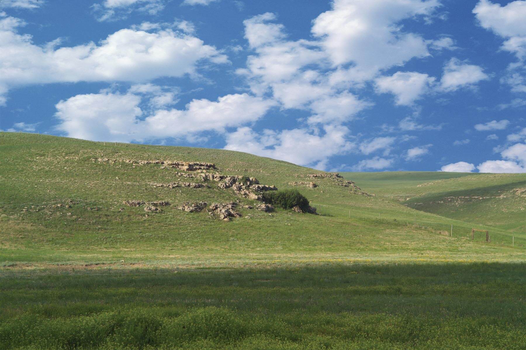 Remington Ranch landscape underneath a blue sky and white clouds